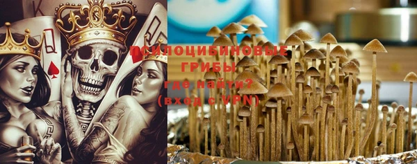 мдпв Гусиноозёрск