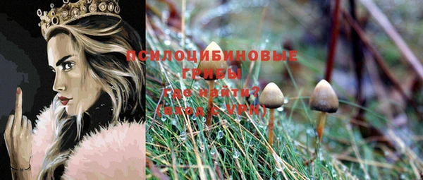 ешки Гусь-Хрустальный