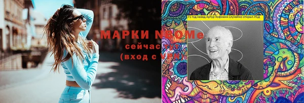 ешки Гусь-Хрустальный