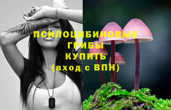 мдпв Гусиноозёрск