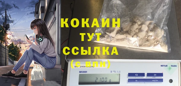 ешки Гусь-Хрустальный