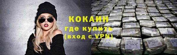 apvp Дмитриев