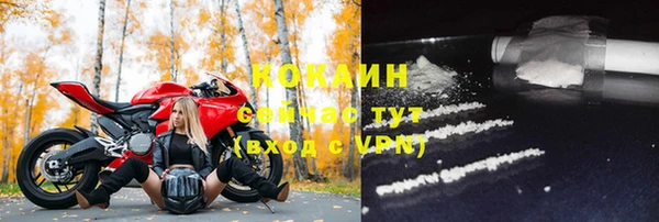 ешки Гусь-Хрустальный