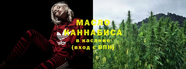 ешки Гусь-Хрустальный